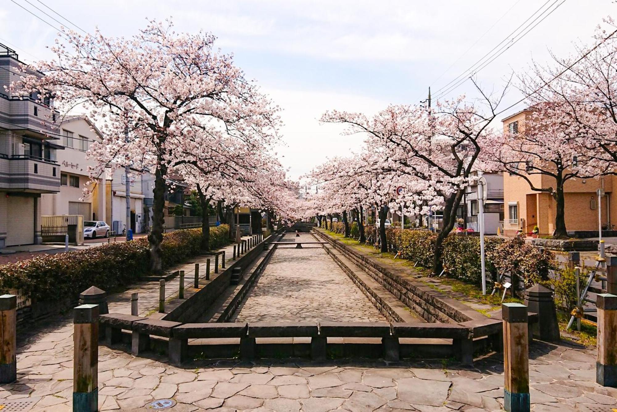 東京都Sc Heights 103アパートメント エクステリア 写真