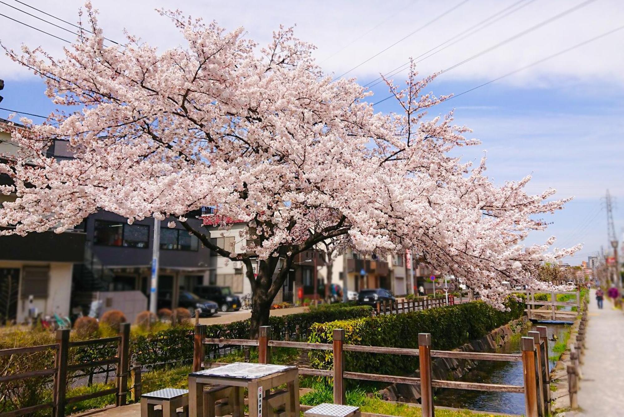 東京都Sc Heights 103アパートメント エクステリア 写真